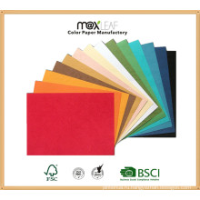 230GSM A4 Тисненый кожаный цветной доски для обложки Цвет Bristol / Manila Board